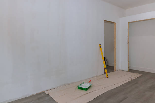 Reliable Bismarck, ND Mold Removal Solutions