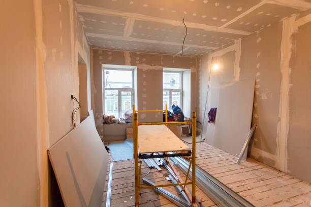 Best Asbestos and Lead Testing During Mold Inspection  in Bismarck, ND